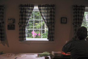 Mom's Window